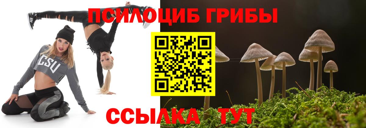 Нарткала  цена наркотик  Вход с VPN  Псилоцибиновые грибы мицелий 